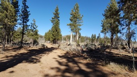 3N16 - Holcomb Valley - Waypoint 8: Continue Straight at 3N11 Intersection (Cut-off to White Mountain)