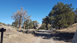 3N16 - Holcomb Valley - Waypoint 10: Continue Straight at 3N17 Intersection (White Mountain)