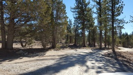 3N16 - Holcomb Valley - Waypoint 11: Continue Straight at 3N54 and 3N08 Intersections