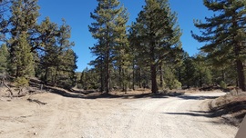 3N16 - Holcomb Valley - Waypoint 14: Go Right at 3N10 Intersection (John Bull)