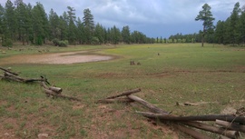 Schnebly Hill Road - Waypoint 15: Foxboro Lake Dam