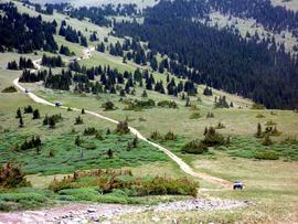 Red Cone - Waypoint 5: End of Tree Line