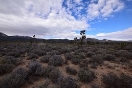 Pine Nut Road - Waypoint 6: Old Weather Station