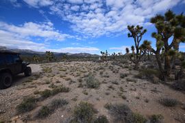 Pine Nut Road - Waypoint 4: Camping area