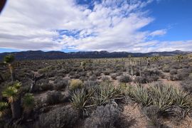 Pine Nut Road - Waypoint 5: Old Weather Station