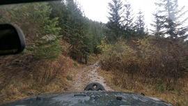 Evans Creek / Trail #519 - Waypoint 2: Trail Intersection