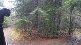 Evans Creek / Trail #519 - Waypoint 9: End