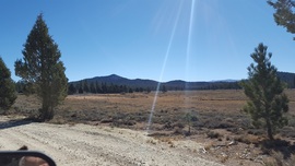 3N16 - Holcomb Valley - Waypoint 13: Homcomb Valley