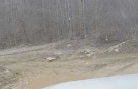 Windrock Trail 22 - Waypoint 5: Intersection Keep Right
