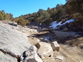 Rattlesnake - Waypoint 5: Rock Garden