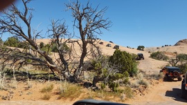 Poison Spider Mesa - Waypoint 23: Little Arch