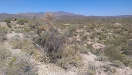 TMRA 9991 - Waypoint 2: Viewpoint