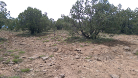 Jacks Canyon Road - Waypoint 7: 9496T Intersection