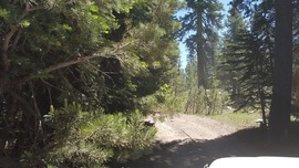 The Rubicon Trail - Waypoint 24: Pacific Crest Trail - Sparks Pass Hiking Trail