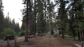 The Rubicon Trail - Waypoint 19: Rubicon Springs (Restrooms)
