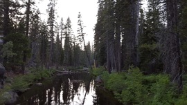 The Rubicon Trail - Waypoint 18: Rubicon Springs Bridge