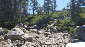 The Rubicon Trail - Waypoint 2: The Gatekeeper