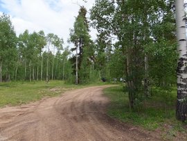 Lost Canyon - Waypoint 3: Flat, Open Camping Area
