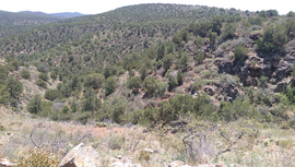 General Cook National Recreation Trail - Waypoint 17: Rough hill