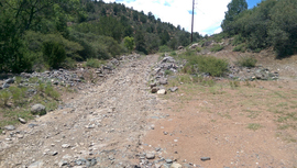 General Cook National Recreation Trail - Waypoint 9: Rough Patch