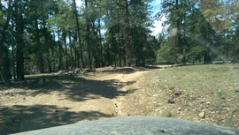 Jerome Road - Waypoint 8: FR 6345 Intersection
