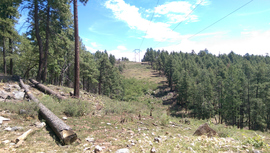 Jerome Road - Waypoint 4: Powerlines