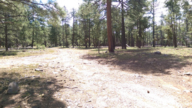 Jerome Road - Waypoint 3: FR 9018G Intersection