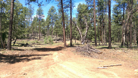 Jerome Road - Waypoint 6: 538H