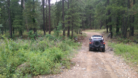 Fry Canyon Trail - Waypoint 5: Woody Wash