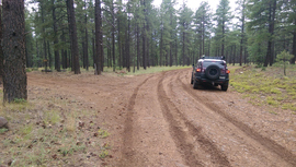 Fry Canyon Trail - Waypoint 4: 9598A West Intersection