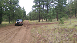 Fry Canyon Trail - Waypoint 3: 9498A East Intersection