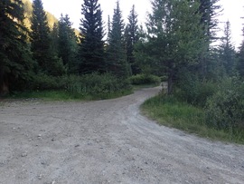 Lower Mill Canyon - Waypoint 8: Fork - Stay Left