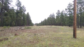 Fry Lake Trail - Waypoint 6: Power lines and Cattle Gard