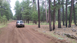 Fry Lake Trail - Waypoint 5: 536C Intersection