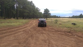 Fry Lake Trail - Waypoint 1: 536 & 535 Intersection