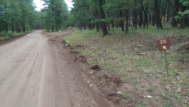 Woody Mountain Road - Waypoint 8: Private Road