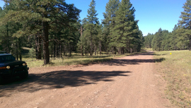 Schnebly Hill Road - Waypoint 16: Large Camping Area
