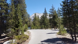 Dusy-Ershim Trail - Waypoint 2: Staging Area