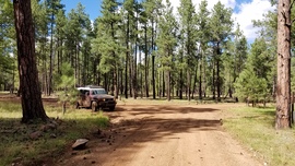Fernow and Tram Tanks Trail - Waypoint 7: 538D Intersection