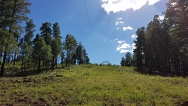 Fernow and Tram Tanks Trail - Waypoint 5: Power Lines
