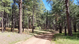 Fernow and Tram Tanks Trail - Waypoint 3: Parking Spot