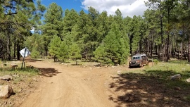 Turkey Butte Lookout Loop - Waypoint 7: FR 538 South Intersection