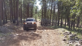 Turkey Butte Lookout Loop - Waypoint 6: Rough Hill