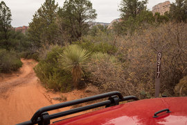 FS152 - Dry Creek Road - Waypoint 6: Stay Left Van Deren Cabin