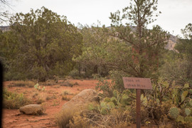 FS152 - Dry Creek Road - Waypoint 12: Brins Mesa Trail