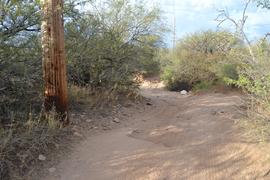 Charouleau Gap / FR# 736 - Waypoint 2: Small but Deep Wash 4xLow Spot