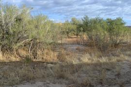 Charouleau Gap / FR# 736 - Waypoint 4: Private Road - Gated Off