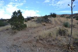 Charouleau Gap / FR# 736 - Waypoint 29: Mine Access Road and Difficult Deep "V" Hill Climb