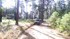 East Pocket Road - Waypoint 31: 9019M Camping Spur Intersection