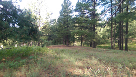 East Pocket Road - Waypoint 30: Edge of the World Intersection